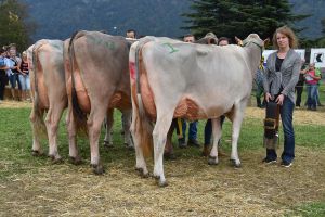 2Missen von hinten uri